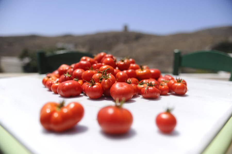 A,Bunch,Of,Santorini,Cherry,Tomatoes.