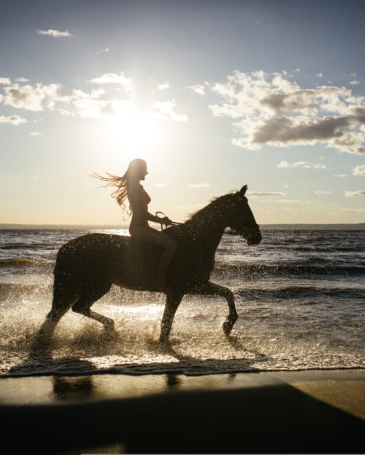 Horseback,Horse,Riding,On,Coastline,At,The,Beach,On,Sunset